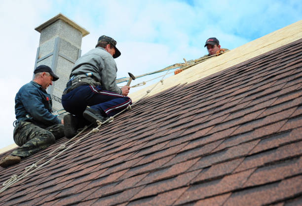 Best Emergency Roof Repair  in Chandler, TX