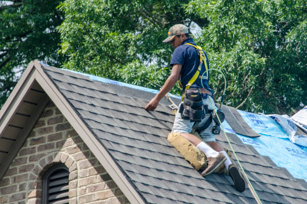 Best Commercial Roofing Services  in Chandler, TX